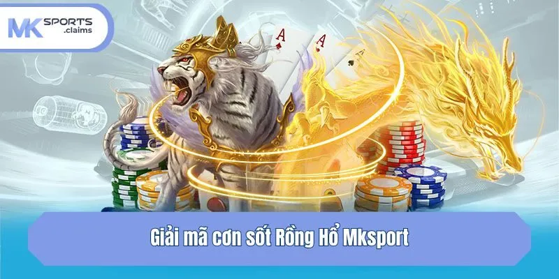 Giải mã cơn sốt Rồng Hổ Mksport
