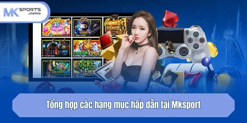 Tổng hợp các hạng mục hấp dẫn tại Mksport